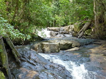 Bellthorpe Stays - Tourism Cairns 29