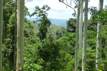 Bellthorpe Stays - Tourism Cairns 31