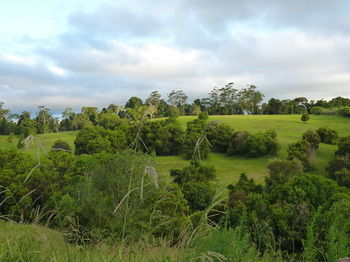 Bellthorpe Stays - Tourism Cairns 34