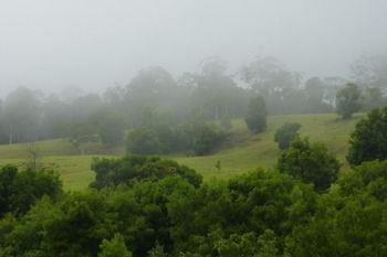 Bellthorpe Stays - Tourism Cairns 35