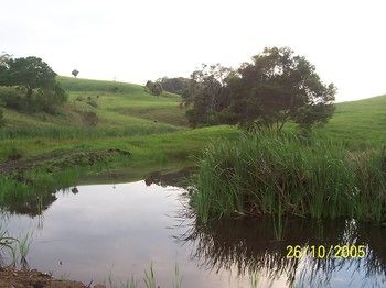 Bellthorpe Stays - Tourism Cairns 39