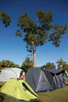 BIG4 Solitary Islands Resort - Caravan Park - Tourism Cairns 26