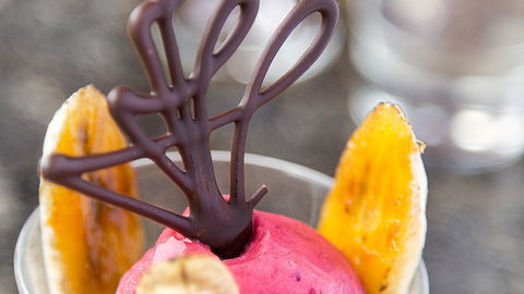 BEST WESTERN Hobart - Tourism Cairns 4