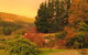 Lyrebird Cottage - thumb 3