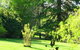 Lyrebird Cottage - thumb 5