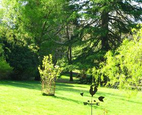 Lyrebird Cottage - Tourism Cairns 5
