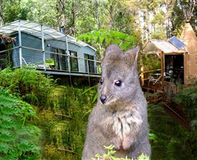 Huon Bush Retreats - Tourism Cairns 0
