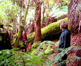 Huon Bush Retreats - Tourism Cairns 3