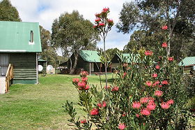 Derwent Bridge Chalets & Studios - Tourism Cairns 0