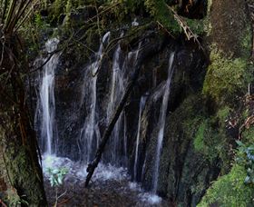 Waratah Caravan And Camping Ground - Tourism Cairns 2