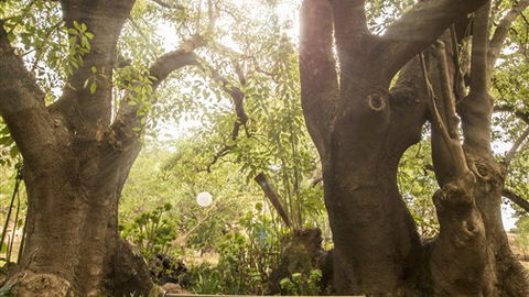 Trawool Cottages & Farmstay - Tourism Cairns 5