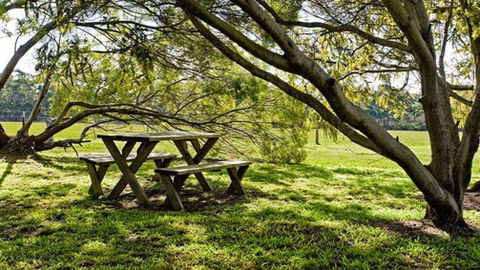 Freshwater Creek Cottages - Tourism Cairns 4