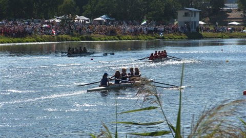 Barwon River Tourist Park - Tourism Cairns 5