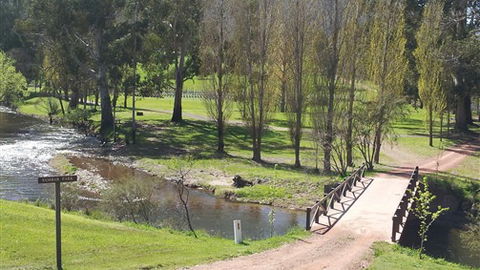 Greenstone Farm - Tourism Cairns 7