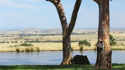 Tuki Trout Farm And Retreat - Tourism Cairns 3