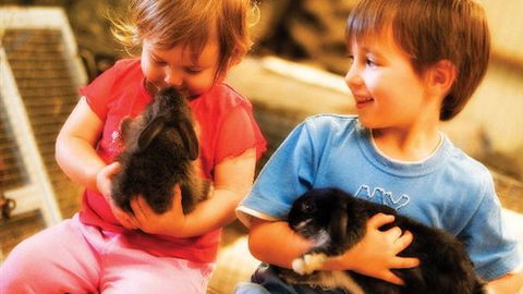 Macka's Farm - Tourism Cairns 0