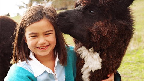 Sabrelyn Park - Tourism Cairns 1