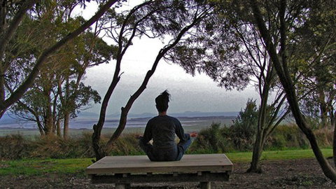 Sabrelyn Park - Tourism Cairns 4