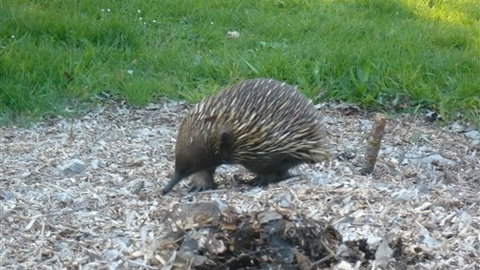 Sabrelyn Park - Tourism Cairns 5