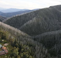 Howmans Gap Alpine Centre YMCA - Tourism Cairns