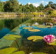 Planetrees Estate  - Tourism Cairns