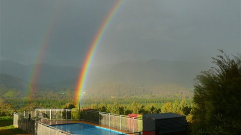 Karoonda Olive Grove Retreat At Mt Buffalo Olives - Tourism Cairns 7
