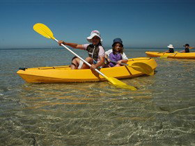 Ceduna Shelly Beach Caravan Park And Beachfront Villas - Tourism Cairns 2