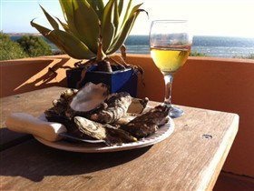 Ceduna Shelly Beach Caravan Park And Beachfront Villas - Tourism Cairns 4