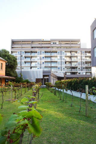 B7 Honeysuckle Apartments - Tourism Cairns 1