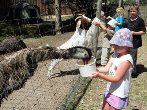 BIG4 Bairnsdale Holiday Park - Tourism Cairns 0