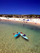 North Narrabeen NSW Tourism Cairns