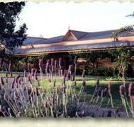 Bluebush Estate - Tourism Cairns