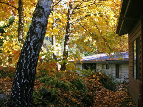 Bogong Village - Tourism Cairns 0