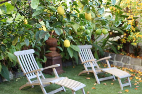 Captains Retreat B&B - Tourism Cairns 1