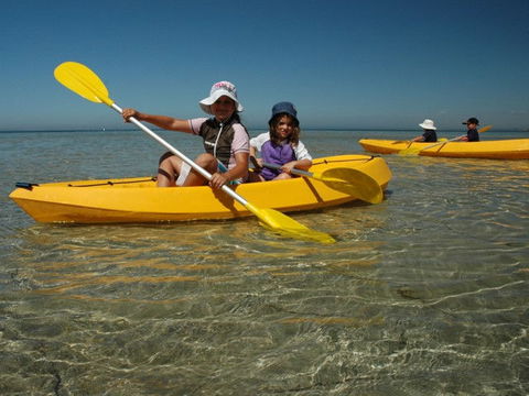 Ceduna Shelly Beach Caravan Park - Tourism Cairns 4