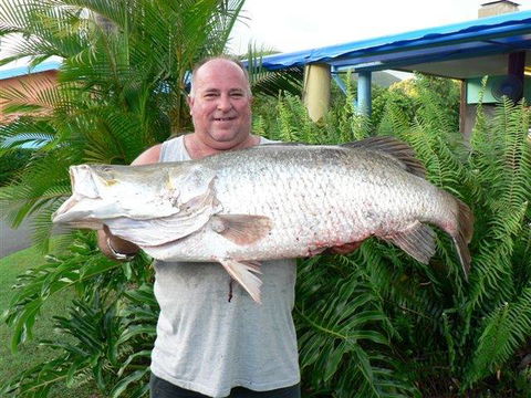 Conway Beach Tourist Park Whitsunday - Tourism Cairns 4
