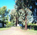 Cudal Caravan Park - Tourism Cairns