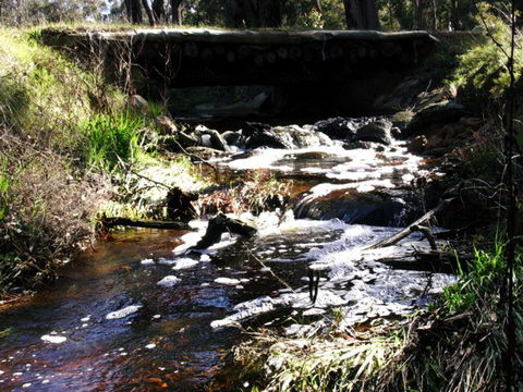 Hidden Grove Retreat - Tourism Cairns 4