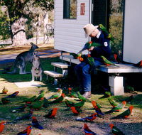 Inland Waters Holiday Parks Burrinjuck - Tourism Cairns