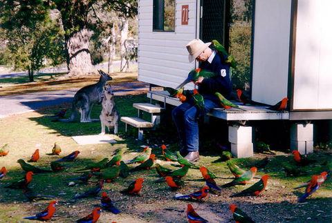 Inland Waters Holiday Parks Burrinjuck - Tourism Cairns 0