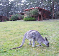 Jenolan Caves Cottages - Tourism Cairns