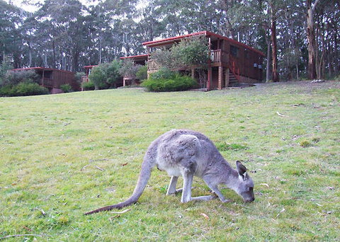 Jenolan Caves Cottages - Tourism Cairns 0