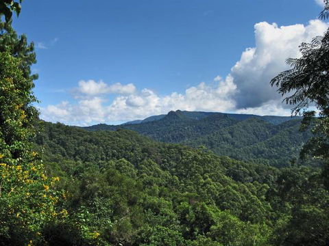 Kallora Escape Bed & Breakfast - Tourism Cairns 5