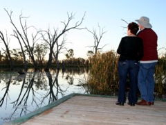 Kingston-On-Murray Caravan Park - Tourism Cairns 2