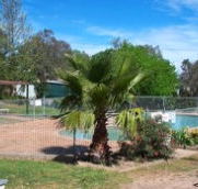 Lake Burrinjuck Leisure Resort - Tourism Cairns