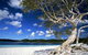 Mercure Kingfisher Bay Resort - thumb 9