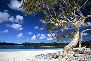 Mercure Kingfisher Bay Resort - Tourism Cairns 9