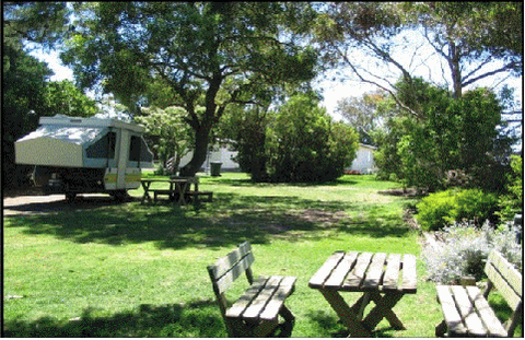 Millicent Hillview Caravan Park - Tourism Cairns 2