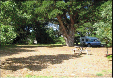 Millicent Hillview Caravan Park - Tourism Cairns 4