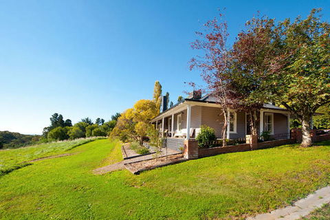 Mount Olive - Tourism Cairns 2